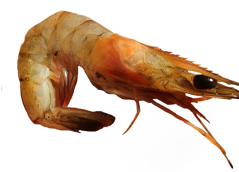 Lobster Thermidor