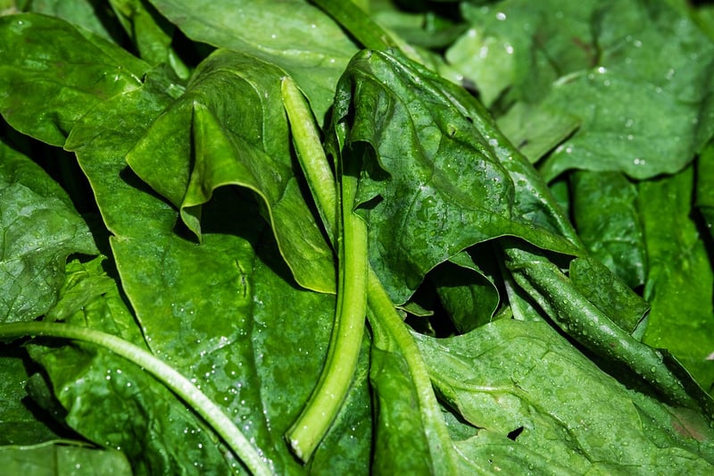 Spinach Superfood